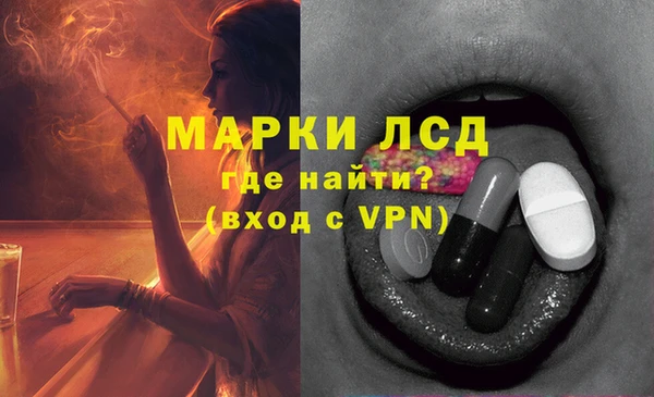 индика Волосово