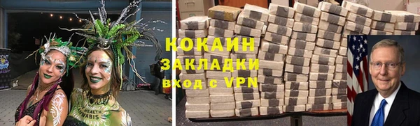 индика Волосово